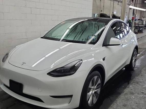 TESLA MODEL Y 2022 7SAYGDEE3NF463546 image